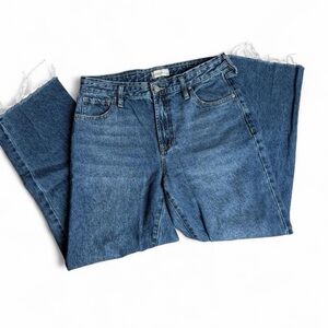 Classic Blue PacSun 90’s Straight Mid Rise Denim Jeans with Raw Hem